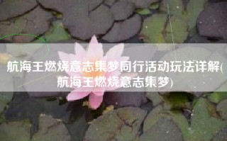 航海王燃烧意志集梦同行活动玩法详解(航海王燃烧意志集梦)