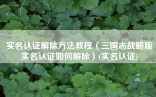 实名认证解除方法教程（三国志战略版实名认证如何解除）(实名认证)