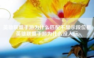 英雄联盟手游为什么匹配不显示段位框(英雄联盟手游为什么没人玩)