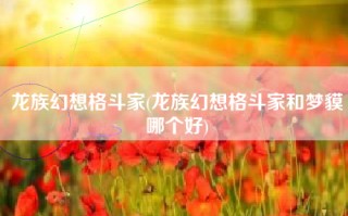 龙族幻想格斗家(龙族幻想格斗家和梦貘哪个好)