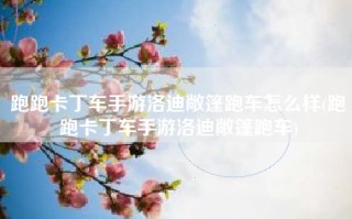 跑跑卡丁车手游洛迪敞篷跑车怎么样(跑跑卡丁车手游洛迪敞篷跑车)