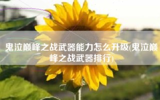 鬼泣巅峰之战武器能力怎么升级(鬼泣巅峰之战武器排行)