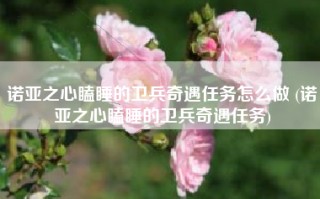 诺亚之心瞌睡的卫兵奇遇任务怎么做 (诺亚之心瞌睡的卫兵奇遇任务)