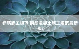 钢筋施工规范(钢筋混凝土施工规范最新版)