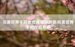 完美世界手游老虎捏猫咪数据,完美世界手游捏脸系统