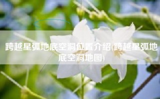 跨越星弧地底空洞位置介绍(跨越星弧地底空洞地图)