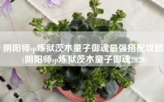 阴阳师sp炼狱茨木童子御魂最强搭配攻略 (阴阳师sp炼狱茨木童子御魂2020)