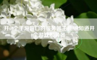 开60个手游窗口的服务器主机,谁知道开个游戏服务器