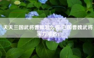 天天三国武将曹操怎么得(三国曹魏武将实力排名)