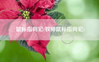 鼠标指向宏(牧师鼠标指向宏)