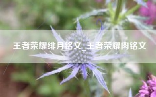 王者荣耀绯月铭文_王者荣耀肉铭文