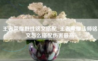 王者荣耀野性铭文搭配_王者荣耀法师铭文怎么搭配伤害最高
