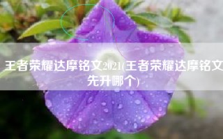 王者荣耀达摩铭文2021(王者荣耀达摩铭文先升哪个)