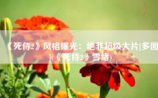 《死侍2》风格曝光：绝非超级大片[多图](《死侍2》雪绪)