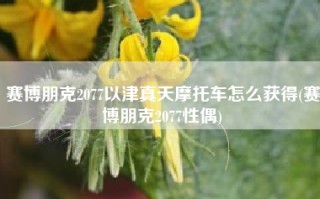 赛博朋克2077以津真天摩托车怎么获得(赛博朋克2077性偶)