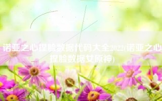 诺亚之心捏脸数据代码大全2022(诺亚之心捏脸数据女原神)
