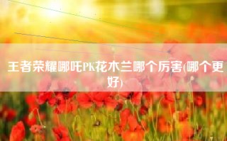 王者荣耀哪吒PK花木兰哪个厉害(哪个更好)