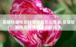 英雄联盟电竞经理装备怎么合成(英雄联盟电竞经理选手招聘词条)