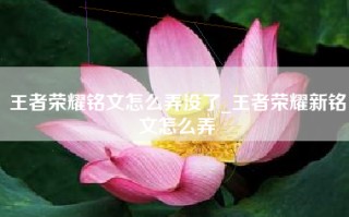 王者荣耀铭文怎么弄没了_王者荣耀新铭文怎么弄