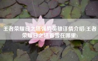 王者荣耀日之塔强势英雄详情介绍(王者荣耀日之塔看雪在哪里)