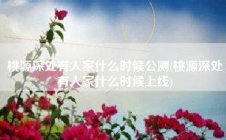 桃源深处有人家什么时候公测(桃源深处有人家什么时候上线)