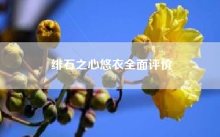 绯石之心悠衣全面评价
