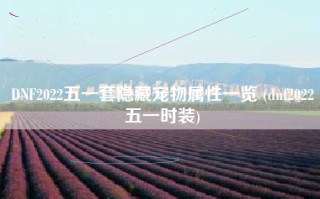 DNF2022五一套隐藏宠物属性一览 (dnf2022五一时装)