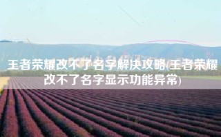 王者荣耀改不了名字解决攻略(王者荣耀改不了名字显示功能异常)