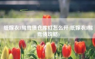 纸嫁衣3鸳鸯债仓库灯怎么开(纸嫁衣3鸳鸯债攻略)