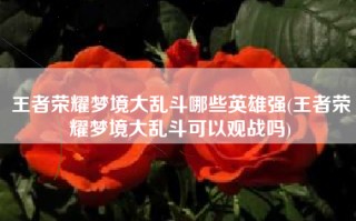 王者荣耀梦境大乱斗哪些英雄强(王者荣耀梦境大乱斗可以观战吗)