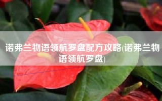 诺弗兰物语领航罗盘配方攻略(诺弗兰物语领航罗盘)