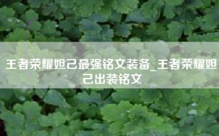 王者荣耀妲己最强铭文装备_王者荣耀妲己出装铭文