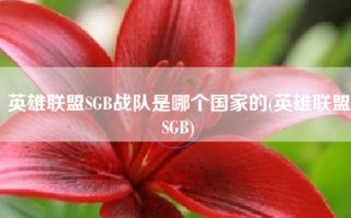 英雄联盟SGB战队是哪个国家的(英雄联盟SGB)