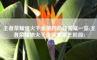 王者荣耀炮火千金第四阶段答案一览(王者荣耀炮火千金探索第三阶段)