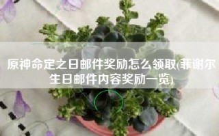 原神命定之日邮件奖励怎么领取(菲谢尔生日邮件内容奖励一览)