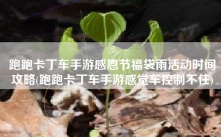 跑跑卡丁车手游感恩节福袋雨活动时间攻略(跑跑卡丁车手游感觉车控制不住)