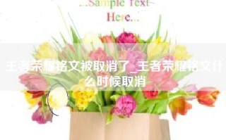 王者荣耀铭文被取消了_王者荣耀铭文什么时候取消