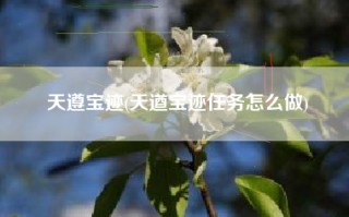 天遵宝迹(天遒宝迹任务怎么做)