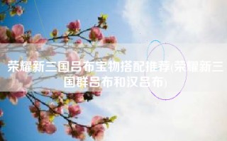荣耀新三国吕布宝物搭配推荐(荣耀新三国群吕布和汉吕布)