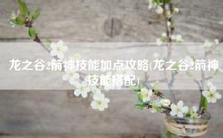 龙之谷2箭神技能加点攻略(龙之谷2箭神技能搭配)