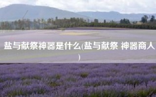 盐与献祭神器是什么(盐与献祭 神器商人)