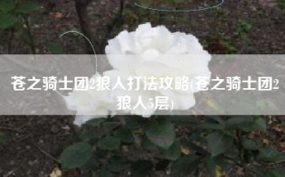 苍之骑士团2狼人打法攻略(苍之骑士团2狼人5层)