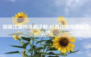 烟雨江湖拘魂阁详解(烟雨江湖拘魂阁怎么进)