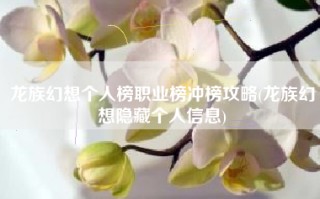 龙族幻想个人榜职业榜冲榜攻略(龙族幻想隐藏个人信息)