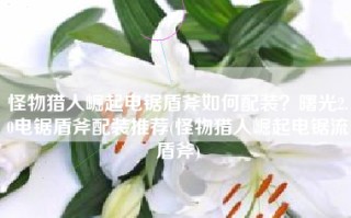怪物猎人崛起电锯盾斧如何配装？曙光2.0电锯盾斧配装推荐(怪物猎人崛起电锯流盾斧)