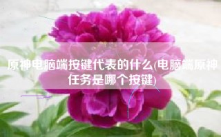 原神电脑端按键代表的什么(电脑端原神任务是哪个按键)
