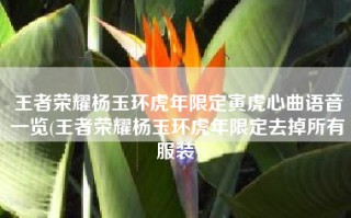 王者荣耀杨玉环虎年限定寅虎心曲语音一览(王者荣耀杨玉环虎年限定去掉所有服装)