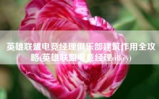 英雄联盟电竞经理俱乐部建筑作用全攻略(英雄联盟电竞经理cdkey)