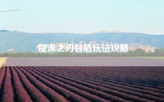 魔渊之刃智盾玩法攻略