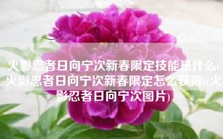 火影忍者日向宁次新春限定技能是什么(火影忍者日向宁次新春限定怎么获得)(火影忍者日向宁次图片)